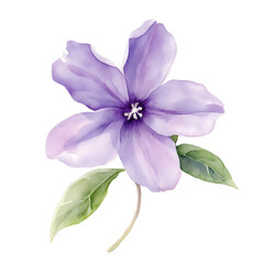 Single daphne bloom in watercolor floral artwork soft gradients clean background artistic viewpoint clipart for seasonal decor