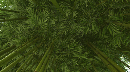 Bamboo foliage wallpaper. 3D rendering