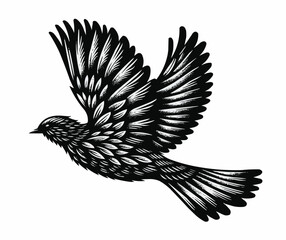 bird vector image black and white with white background