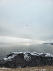 fog over the sea