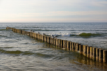 The coast with wooden breakwaters, Ustronie Morskie, West Pomerania, Poland