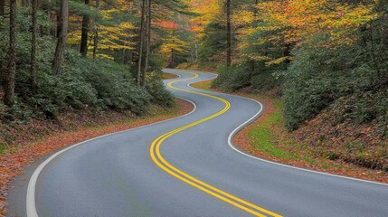 Fototapeta premium Winding road through vibrant autumn forest scenery.