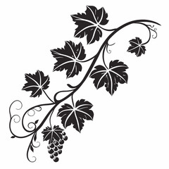 Blooming Vine vector silhouette black design white background