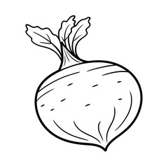 Collection of fresh vegetables outline for kids coloring book