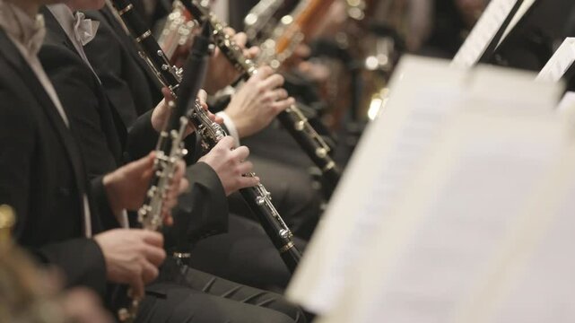 Clarinets of the woodwind section of a classical symphony orchcestra playing during a life performance concert