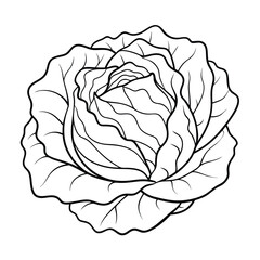 Coloring page. Composition of different vegetables on white background