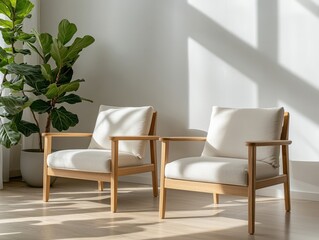 Cozy chairs with cushions beside a lush plant in a bright, sunlit room.