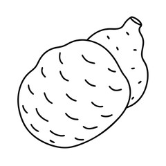 Coloring page. Composition of different vegetables on white background
