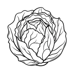 Coloring page. Composition of different vegetables on white background
