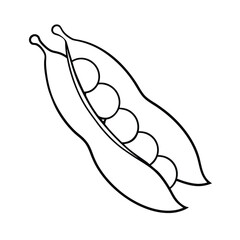 Coloring page. Composition of different vegetables on white background