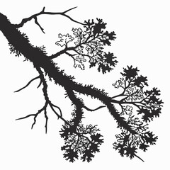 Lichen Growth vector silhouette black design white background