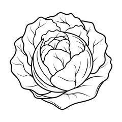 Coloring page. Composition of different vegetables on white background