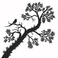Lichen Growth vector silhouette black design white background
