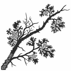 Lichen Growth vector silhouette black design white background