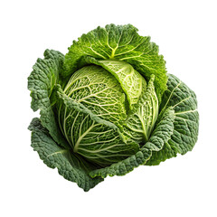 Obraz premium Cabbage on transparent background