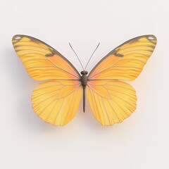 Obraz premium minimalist product photography of butterfly on smooth surface its vibrant wings spread fully captured in soft lighting