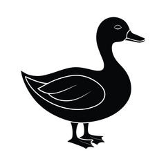 duck isolated on white