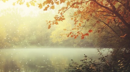 autumn in the forest