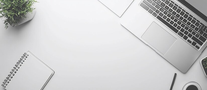 Minimalist Workspace: Laptop, Notebook, and Plant on White Desk