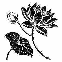 Lotus Blossom vector silhouette black design white background