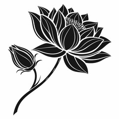 Lotus Blossom vector silhouette black design white background