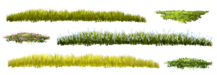 set of grass, Vertor set of spring blossom tree,blooming plants side view  for landscape elevation and section,eco environment concept design,watercolor shrub illustration,colorful season