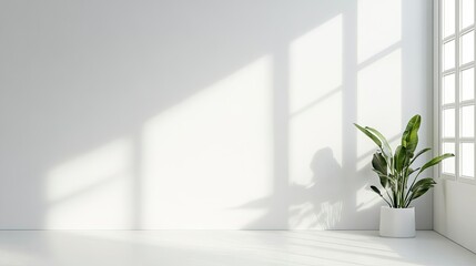 Bright white background with room for text or design elements