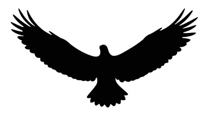 Obraz premium Silhouette of a soaring eagle in flight