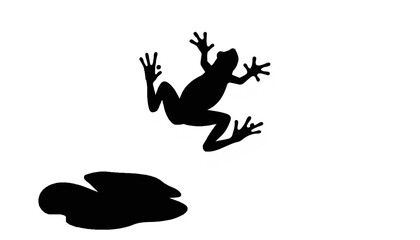 Obraz premium Jumping frog silhouette against white background