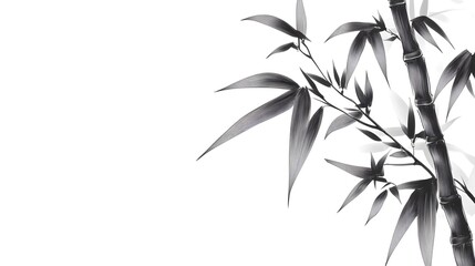 Obraz premium Elegant Monochrome Bamboo Branch Illustration