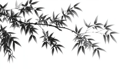 bamboo illustration