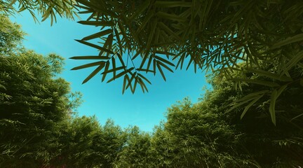 Bamboo forest wallpaper on clear blue sky. 3D rendering