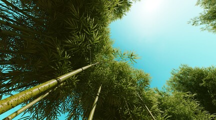 Bamboo forest wallpaper on clear blue sky. 3D rendering