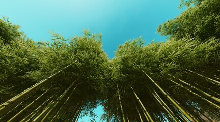 Bamboo forest wallpaper on clear blue sky. 3D rendering