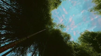 Bamboo forest wallpaper on clear blue sky. 3D rendering