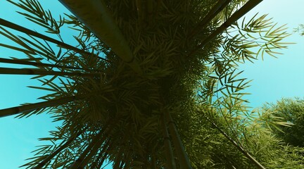 Bamboo forest wallpaper on clear blue sky. 3D rendering