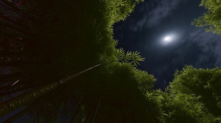 Bamboo forest wallpaper on the evening sky. 3D rendering