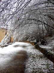 Rural scene of French cottage and woodland after winter snowfall
