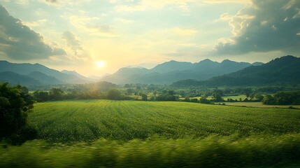 Obraz premium A Serene Journey Through Lush Green Landscapes Observed from a Train Window