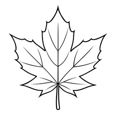 Christmas Maple Leaf Line Art Vector Design Isolated on Transparent Backgrounds