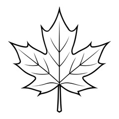Maple Leaf Line Art Vector High-Quality Illustration on Clear Background