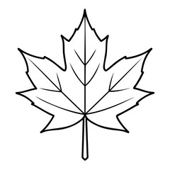Maple Leaf Line Art Vector High-Quality Illustration on Clear Background