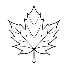 High-Quality Christmas Maple Leaf Vector Outline or Line Art on Transparent Background