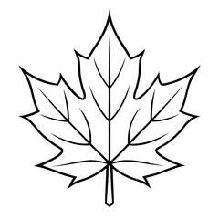 Maple Leaf Vector Outline High-Quality Maple Leaf line art isolated on a transparent background
