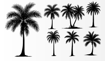 palm or coconut trees set. silhouette palm trees for decorration.