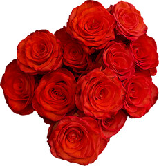 bouquet of roses png cutout