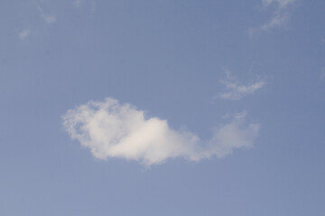 pez nube