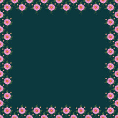 Pink cosmos flower (Cosmos bipinnatus) watercolor illustration for spring seasons. Botanical, flower season on green background 