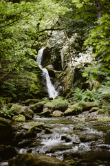 Waterfall in the forest. Wales.
