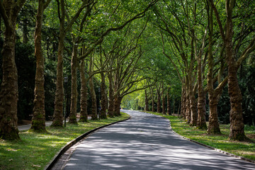 Obraz premium castle in mountains